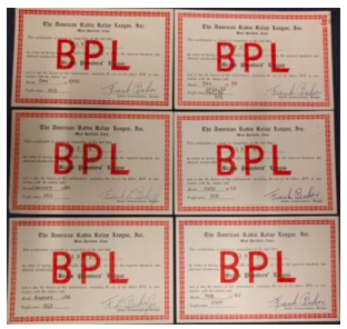 BPL sheet